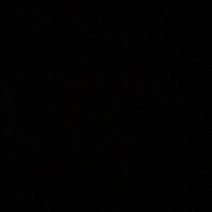 Meet your Posher, Ally